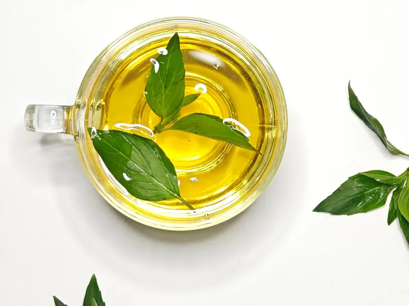 Infusion à la menthe fraîche dans une tasse en verre, sur fond blanc